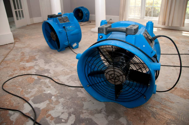 Best Commercial water damage restoration  in Evergreen, AL