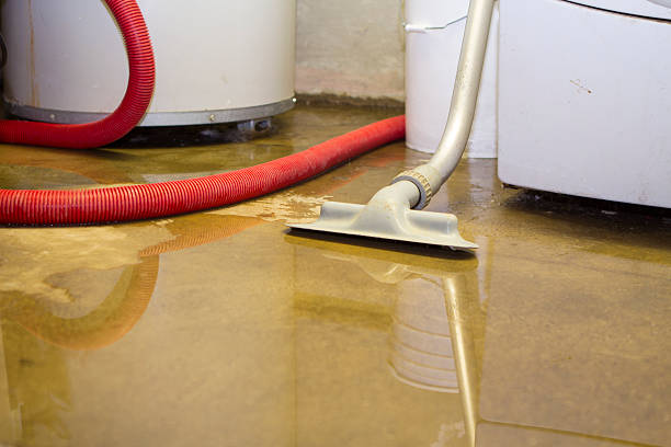 Best Emergency water damage restoration  in Evergreen, AL