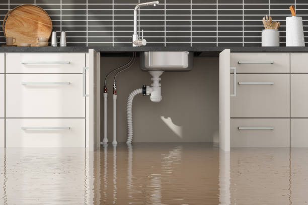 Best Flooded house restoration  in Evergreen, AL
