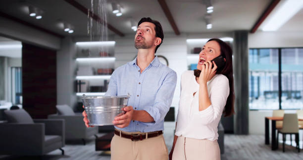 Best Sewage cleanup and water damage restoration  in Evergreen, AL