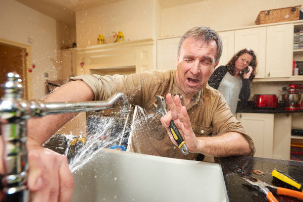 Best Flood damage cleanup  in Evergreen, AL